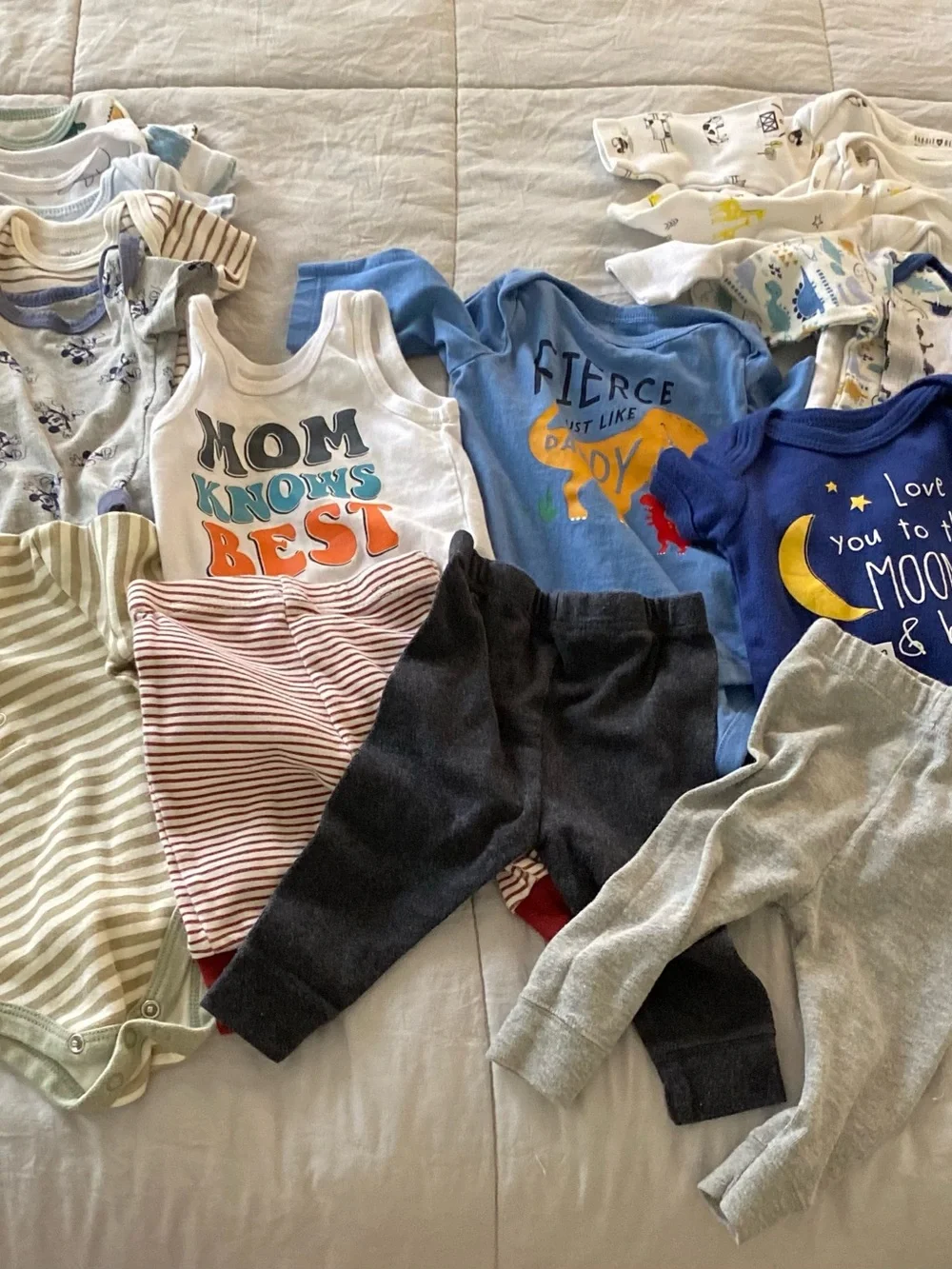 Garanimals Blue and White Dino Graphic Matching Set